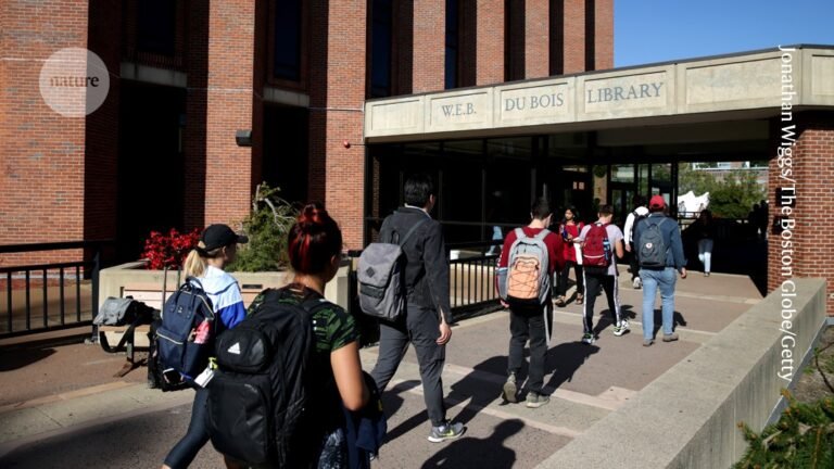 International PhD student numbers in US hold steady — for now International PhD student numbers in US hold steady — for now