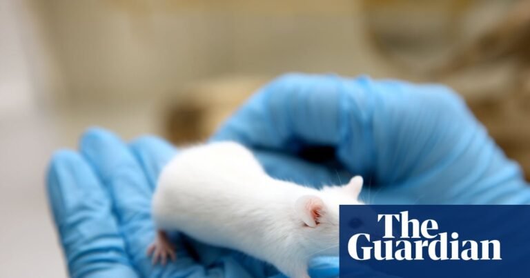 Is it the beginning of the end for animal testing? – podcast | Science Is it the beginning of the end for animal testing? – podcast | Science