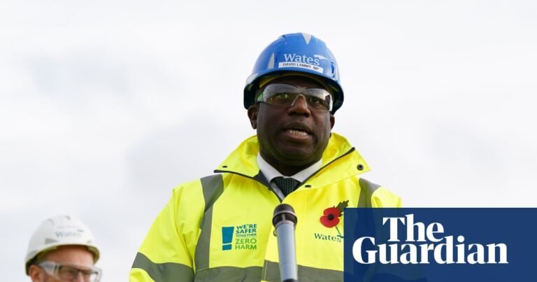Lammy says he was right not to discuss mistakenly freed prisoner at PMQs | Prisons and probation Lammy says he was right not to discuss mistakenly freed prisoner at PMQs | Prisons and probation