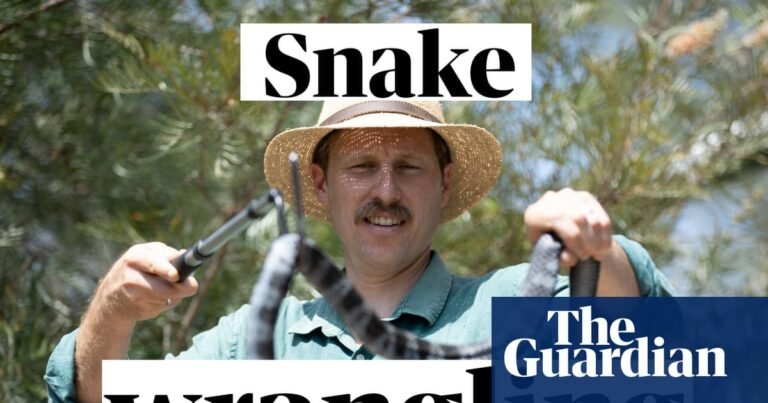 Learning to handle some of the world's most venomous snakes – video | Snakes