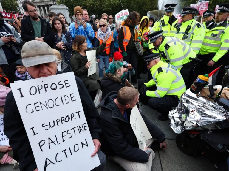 Palestine Action trial begins in London – what we know | Courts News