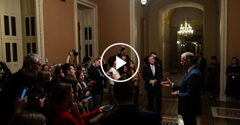 Senate Passes Bill to End Government Shutdown