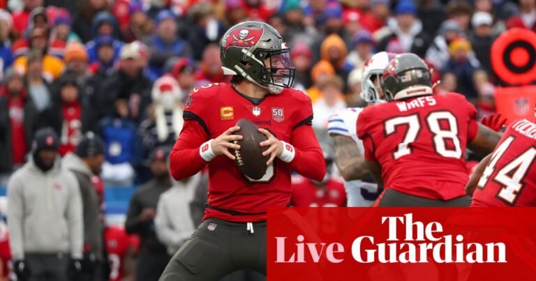 Steelers v Bengals, Bills v Buccaneers and more: NFL week 11 – live | NFL