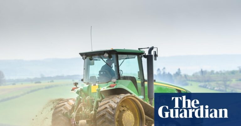 Third of British farmers made no profit in past year, report finds | Farming Third of British farmers made no profit in past year, report finds | Farming