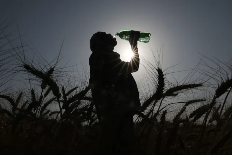 Trump’s Anti-Green Agenda Could Lead to 1.3 Million More Climate Deaths — ProPublica Trump’s Anti-Green Agenda Could Lead to 1.3 Million More Climate Deaths — ProPublica