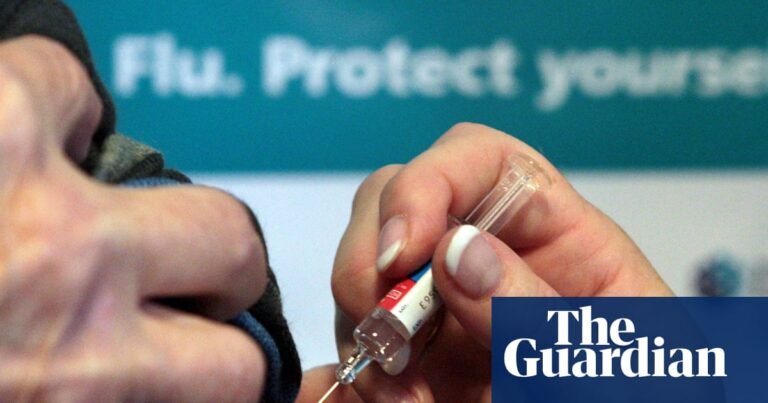 UK hospitals bracing for once-in-a-decade flu surge this winter | Health
