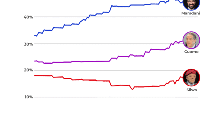 What the latest polls are showing in the Mamdani vs Cuomo NYC mayoral race | Elections News What the latest polls are showing in the Mamdani vs Cuomo NYC mayoral race | Elections News