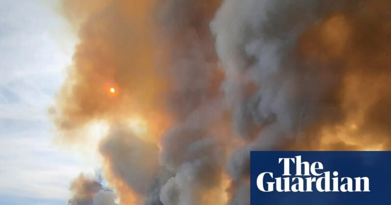 Zombie fires: how Arctic wildfires that come back to life are ravaging forests | Wildfires