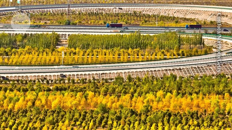 how to account for the ecological costs of our actions