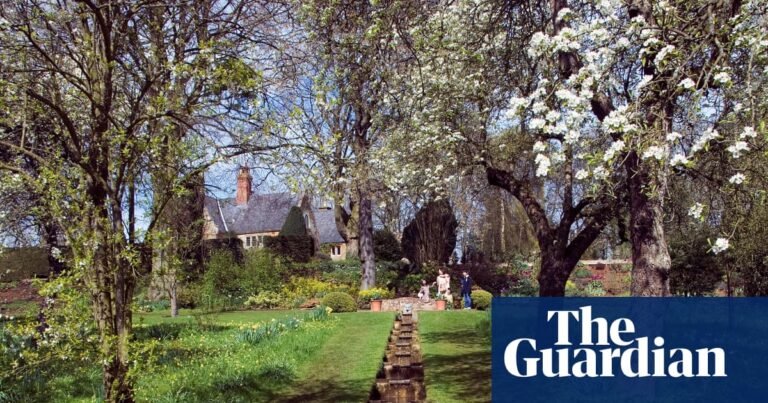 ‘Sustainable’ Cambridge busway will cause irreversible ecological harm, inquiry told | Environment