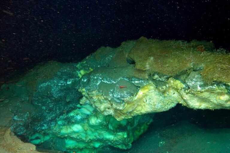 Bizarre Ecosystem Discovered More Than Two Miles beneath Arctic Ocean