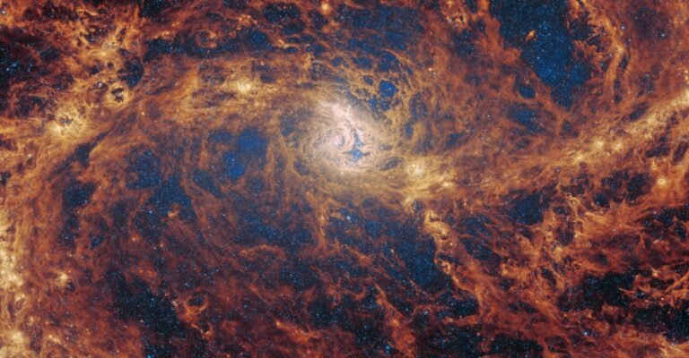 Day 11 of the 2025 Space Telescope Advent Calendar: Looking for Signs of a Black Hole Day 11 of the 2025 Space Telescope Advent Calendar: Looking for Signs of a Black Hole