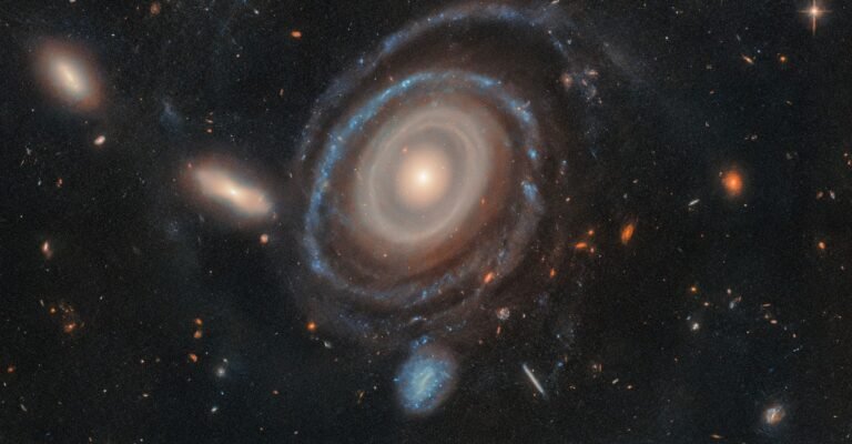 Day 16 of the 2025 Space Telescope Advent Calendar: The Bullseye Day 16 of the 2025 Space Telescope Advent Calendar: The Bullseye