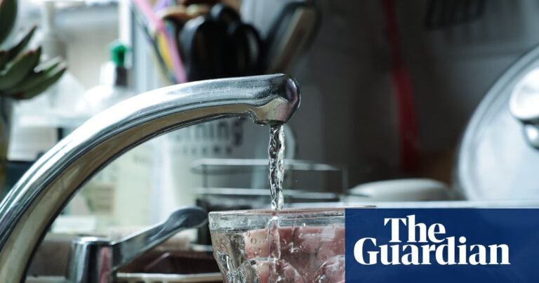 Drinking water contaminated with Pfas probably increases risk of infant mortality, study finds | US news
