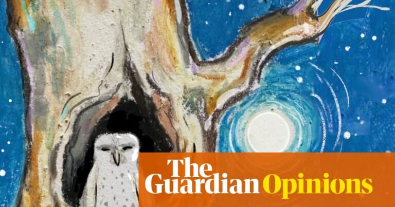 Feeling burnt out? A bush blessing for the end of the year | Jess Harwood