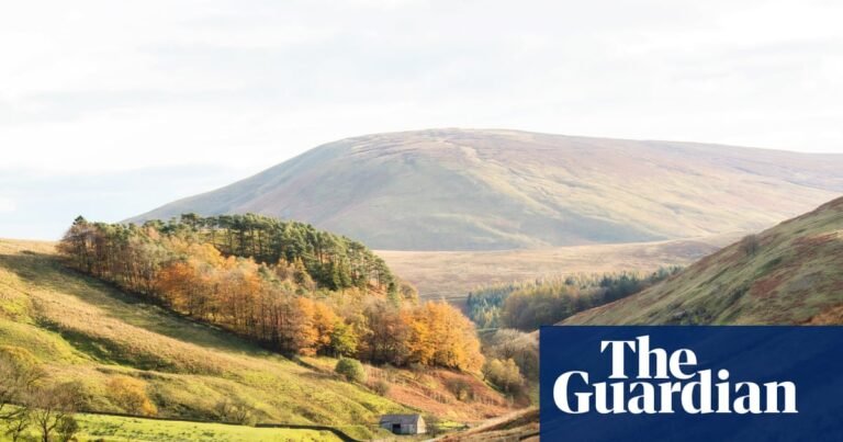 Forecasters say 2025 ‘more likely than not’ to be UK’s hottest year on record | UK weather