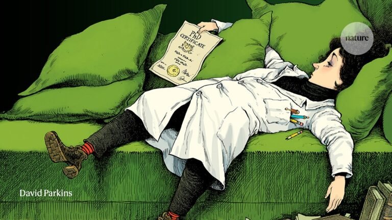 I’ve earned my PhD — what now?