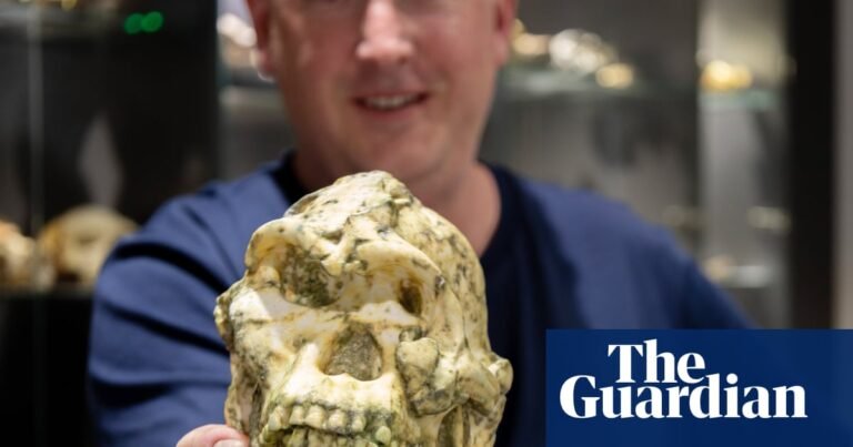 Little Foot hominin fossil may be new species of human ancestor | Evolution