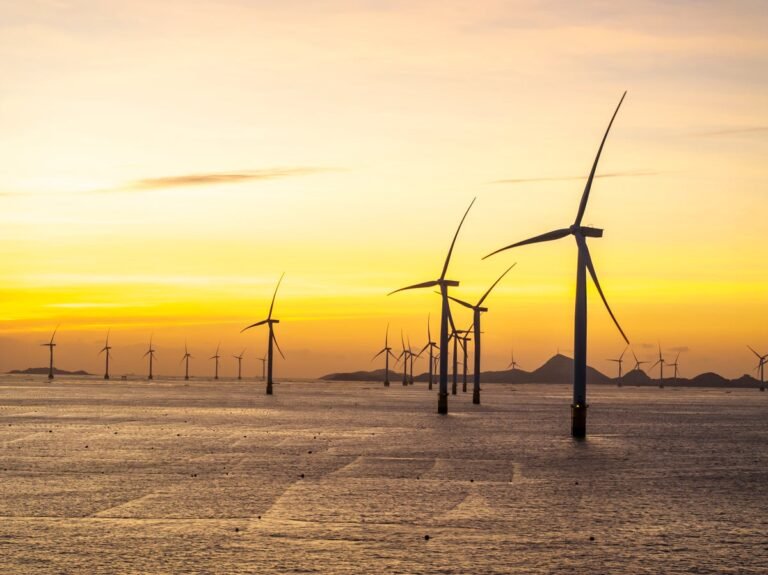 Offshore Wind Farm in China Becomes a Haven for Oysters, Barnacles, and More, Study Finds