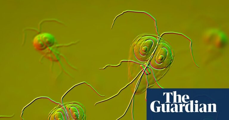Parasite cleanses: why are so many people obsessed with intestinal worms? | Health & wellbeing