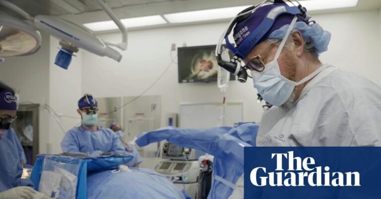 Pig organ transplants could one day be superior to human ones, says expert | Medical research Pig organ transplants could one day be superior to human ones, says expert | Medical research