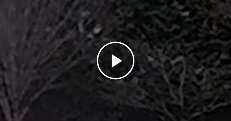 Police Release Second Video of Brown University Gunman