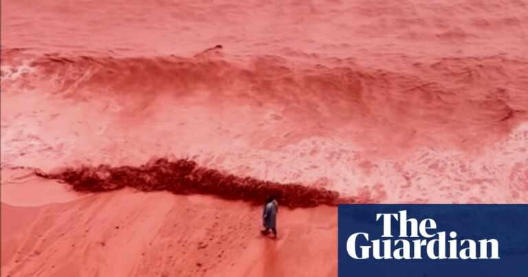 Rainfall creates crimson spectacle at beach on Iran’s Hormuz Island | Iran Rainfall creates crimson spectacle at beach on Iran’s Hormuz Island | Iran