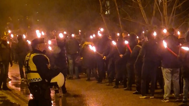 Resurgent neo-Nazis march against multiculturalism in Sweden’s capital | Al Jazeera