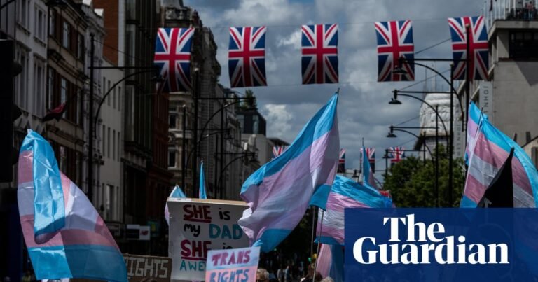 Rules on single-sex spaces pose risk to trans people’s mental health, UK charities say | Transgender