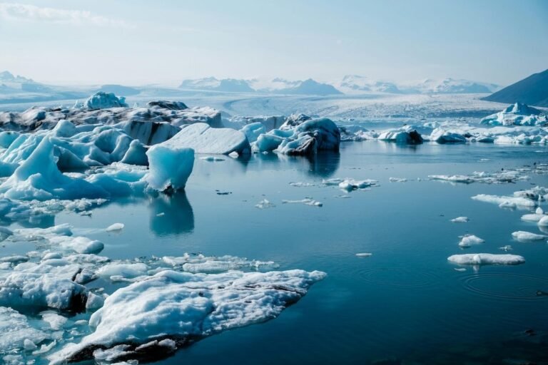 Sea Ice Hits New Low in Hottest Year on Record for the Arctic