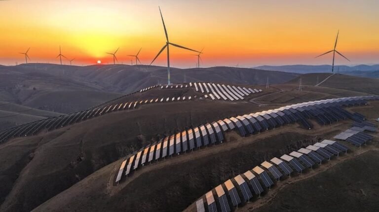 Seven Feel-Good Science Stories to Restore Your Faith in 2025