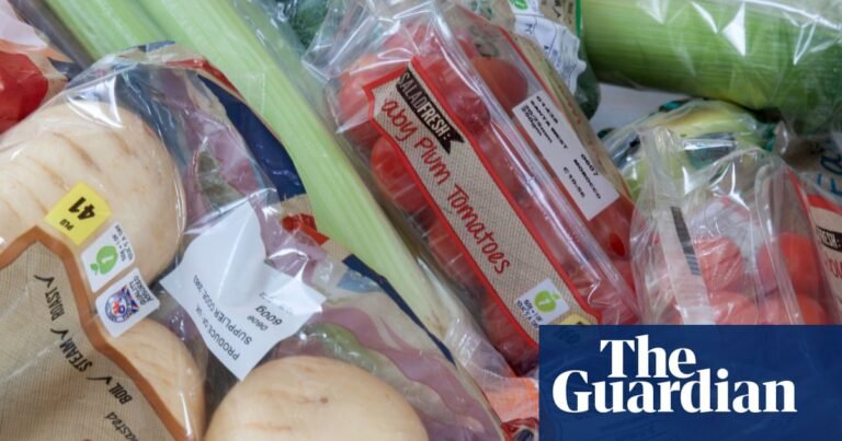 Synthetic chemicals in food system creating health burden of $2.2tn a year, report finds | Pfas