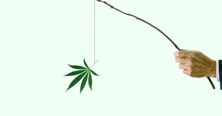 The Risk of Trump's Marijuana Order