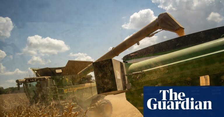 The environmental costs of corn: should the US change how it grows its dominant crop? | Farming