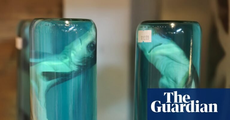 Trump’s EPA wants to weaken formaldehyde protections – this is what it could mean | Trump administration
