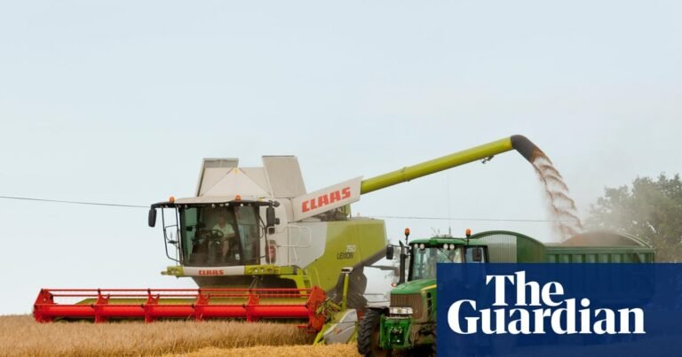 UK farmers lose £800m after heat and drought cause one of worst harvests on record | Farming