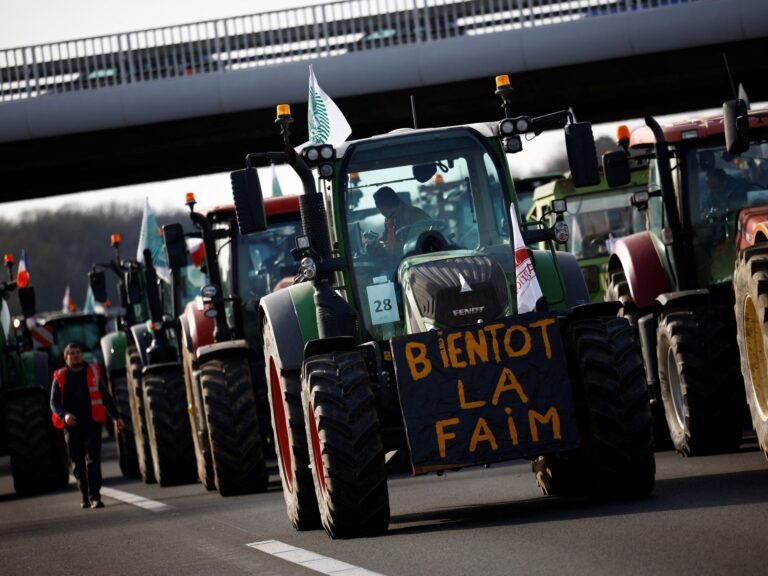 Why are French farmers objecting to EU-Mercosur trade deal? | Agriculture News