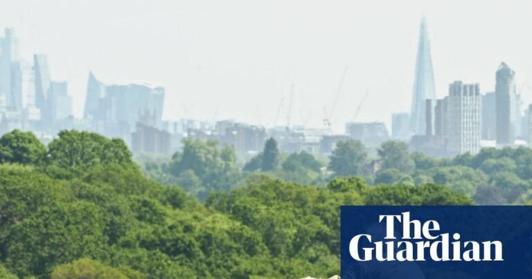‘Cities need nature to be happy’: David Attenborough seeks out London’s hidden wildlife | David Attenborough ‘Cities need nature to be happy’: David Attenborough seeks out London’s hidden wildlife | David Attenborough