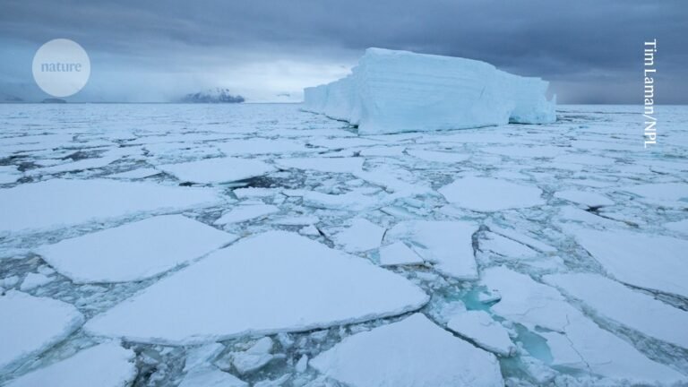 Ancient ‘snowball’ Earth had frigidly briny seas