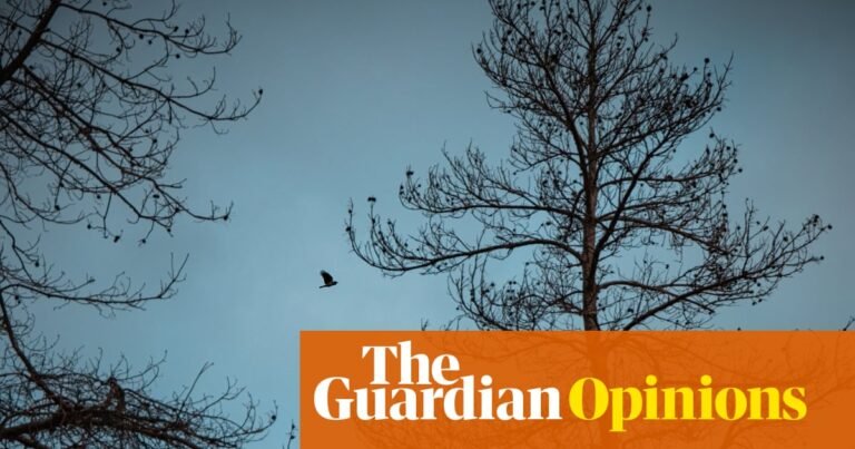 At the turn of the year, I’m facing a pivot point. Midlife crisis? No thanks | Emma Brockes