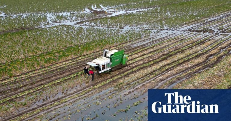 Biodiversity collapse threatens UK security, intelligence chiefs warn | Biodiversity