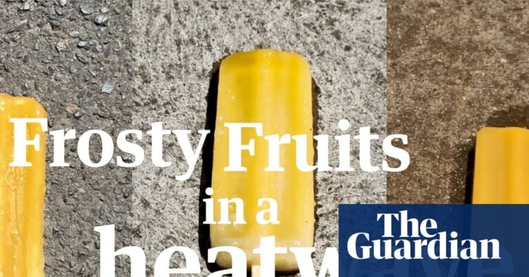 Filming a Frosty Fruit in 48C heat. Spoiler alert: the camera couldn't handle it – video | Australia weather