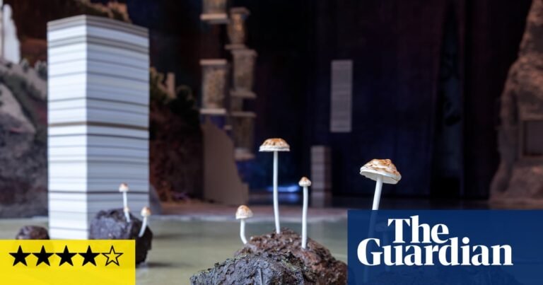 Fungi: Anarchist Designers review – a perverse plunge into mushroom mayhem, from stinkhorns to zombie-makers | Art