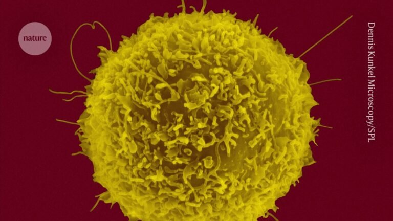 Huge Chinese cell atlas reveals surprising immune variation among peoples Huge Chinese cell atlas reveals surprising immune variation among peoples