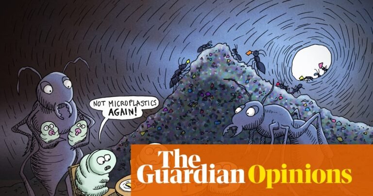 Jason White on plastic pollution in the food chain – cartoon