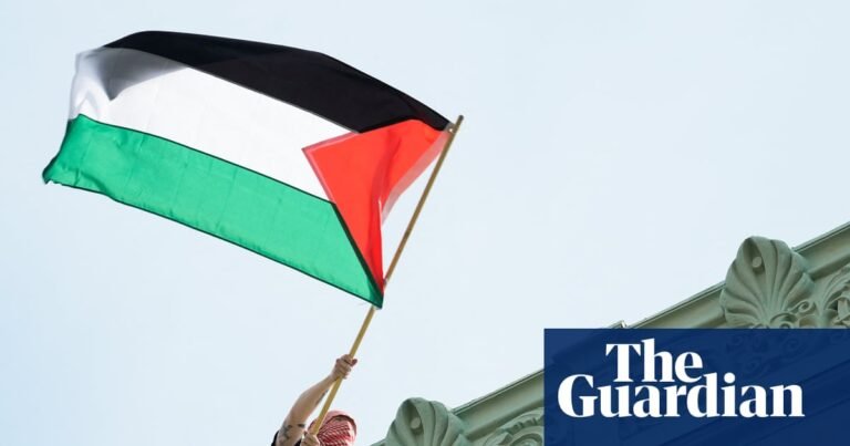 Judge to protect noncitizen academics involved in case from ‘authoritarian’ Trump | Donald Trump Judge to protect noncitizen academics involved in case from ‘authoritarian’ Trump | Donald Trump