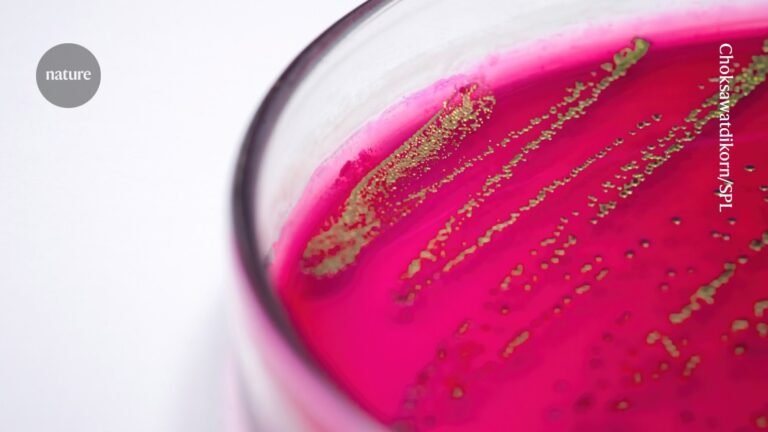 Light-powered bacteria become living chemical factories