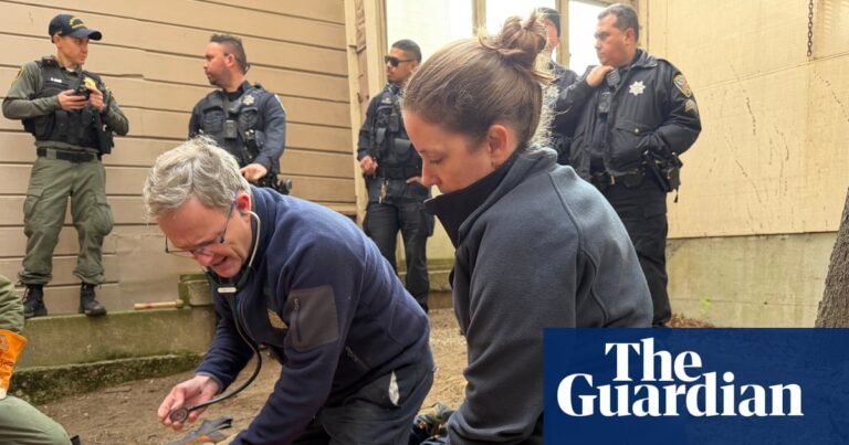 Live TV report on cougar capture in San Francisco neighborhood interrupted by coyote | San Francisco