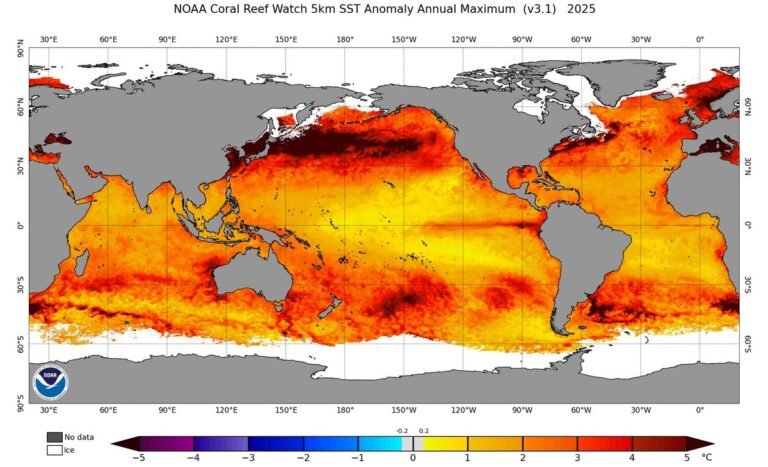 Ocean Temperatures Just Hit a Dire New Record Ocean Temperatures Just Hit a Dire New Record