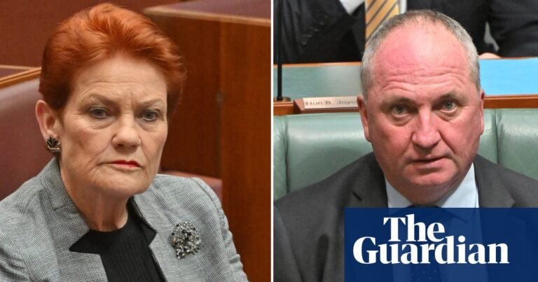 Pauline Hanson and Barnaby Joyce use Gina Rinehart’s private jet to visit flooded parts of Queensland | One Nation
